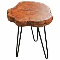 New ⭐ Welland Industries LLC Unique Shape Natural Wood Stump Rustic Surface Side Table, 16" 🎉