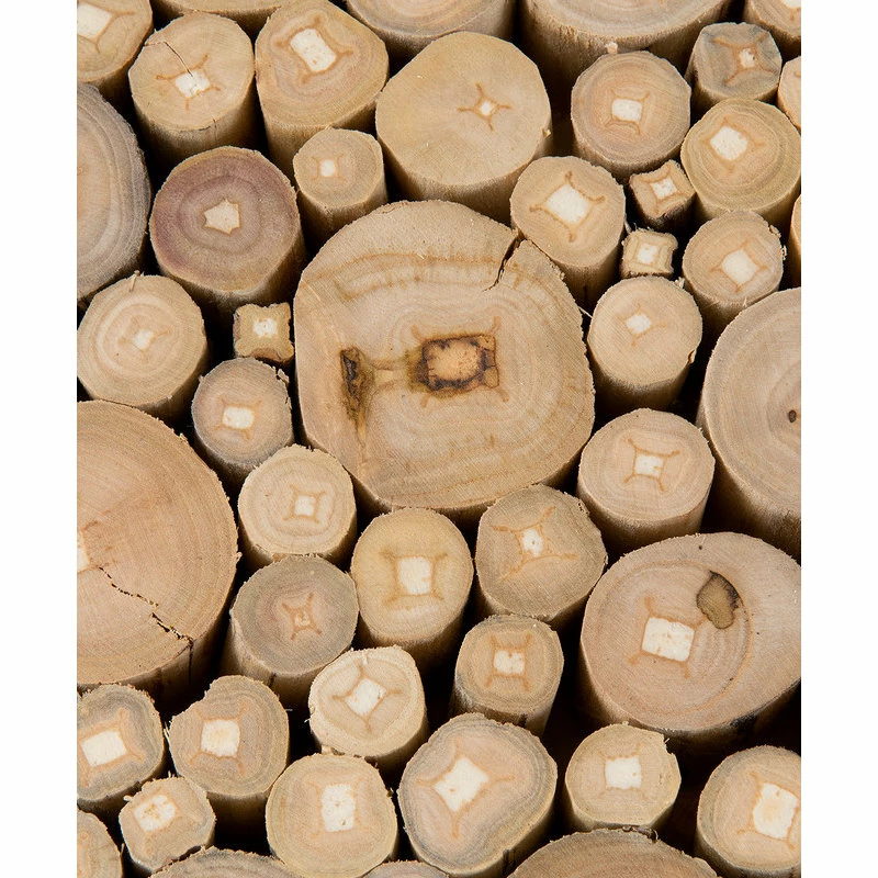 Buy 👏 East At Main's Stanley White Round Teakwood Stool 😀 - Image 5